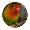 Jun^2 avatar icon