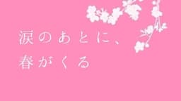 クリップ！　ピンク