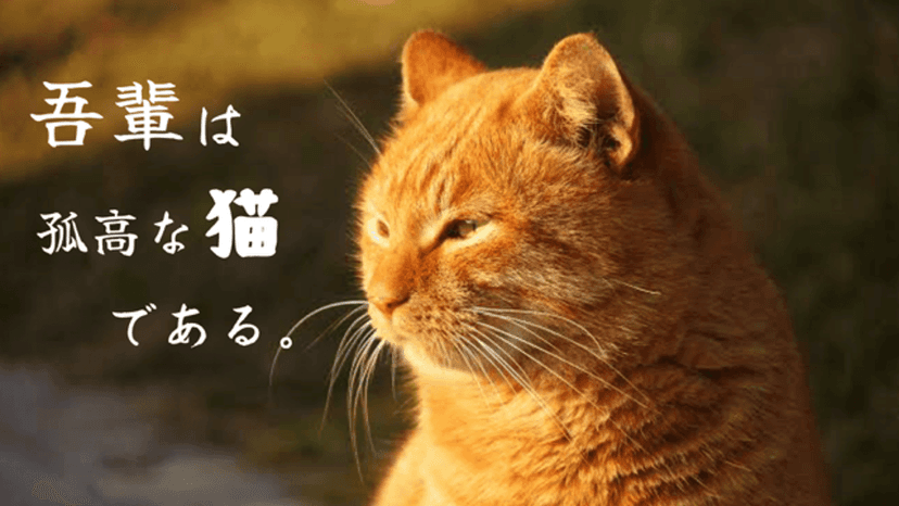吾輩は孤高な猫である
