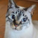 さか