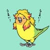 きーちゃん avatar icon