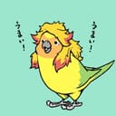 きーちゃん