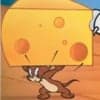 cheese🧀 avatar icon