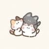 猫杜 avatar icon