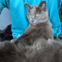 ぬこる