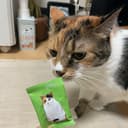 こまち