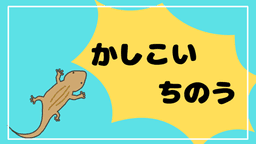 クリップ！　ブルー