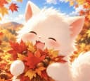 花梨