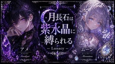 月長石は紫水晶に縛られる 〜 Lunacy 〜 background image