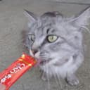ハヤト