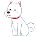 犬