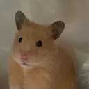 しきめ