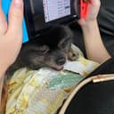 はるなあい