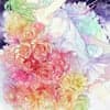 しゅり avatar icon