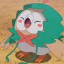 だいこん