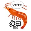 いかちゃん avatar icon