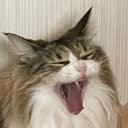 ネテタ