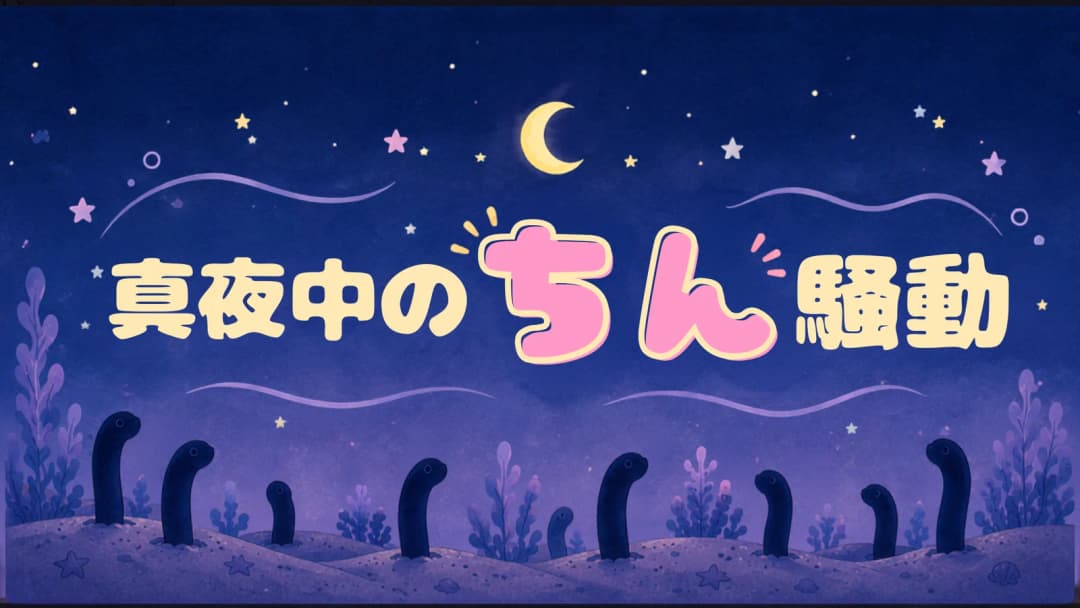 真夜中のちん騒動 background image