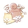 豆柴 avatar icon