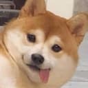 ポチ