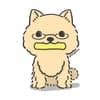 めぐみ avatar icon