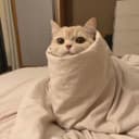 お湯チャン