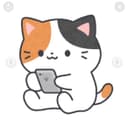 みーにゃん