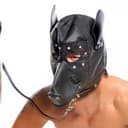 　　　ドーベルマン向井