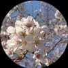 愛華 avatar icon