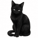 PC2：黒猫