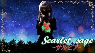 Scarlet sage -サルビア- background image